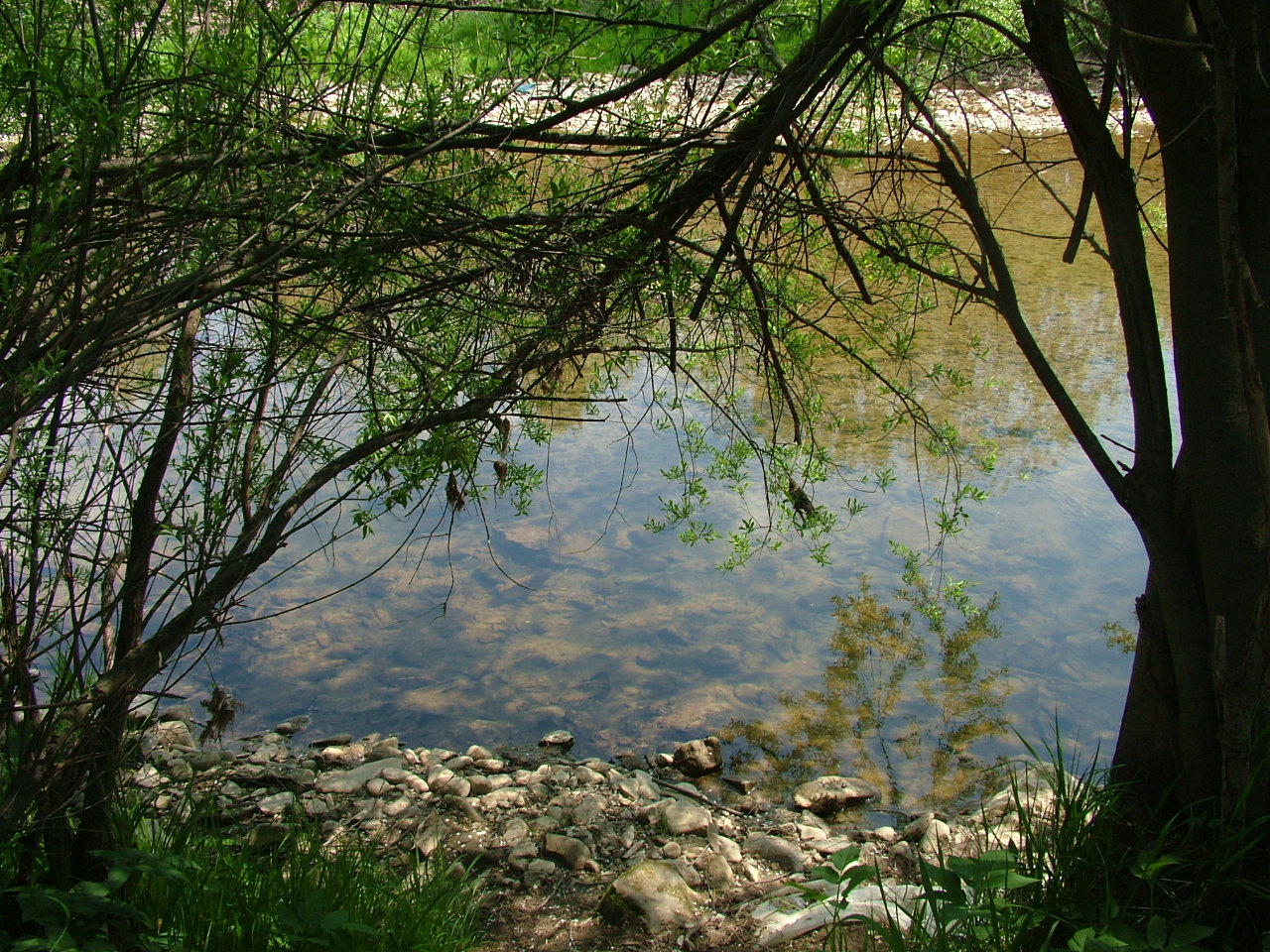 DSCF7735.JPG