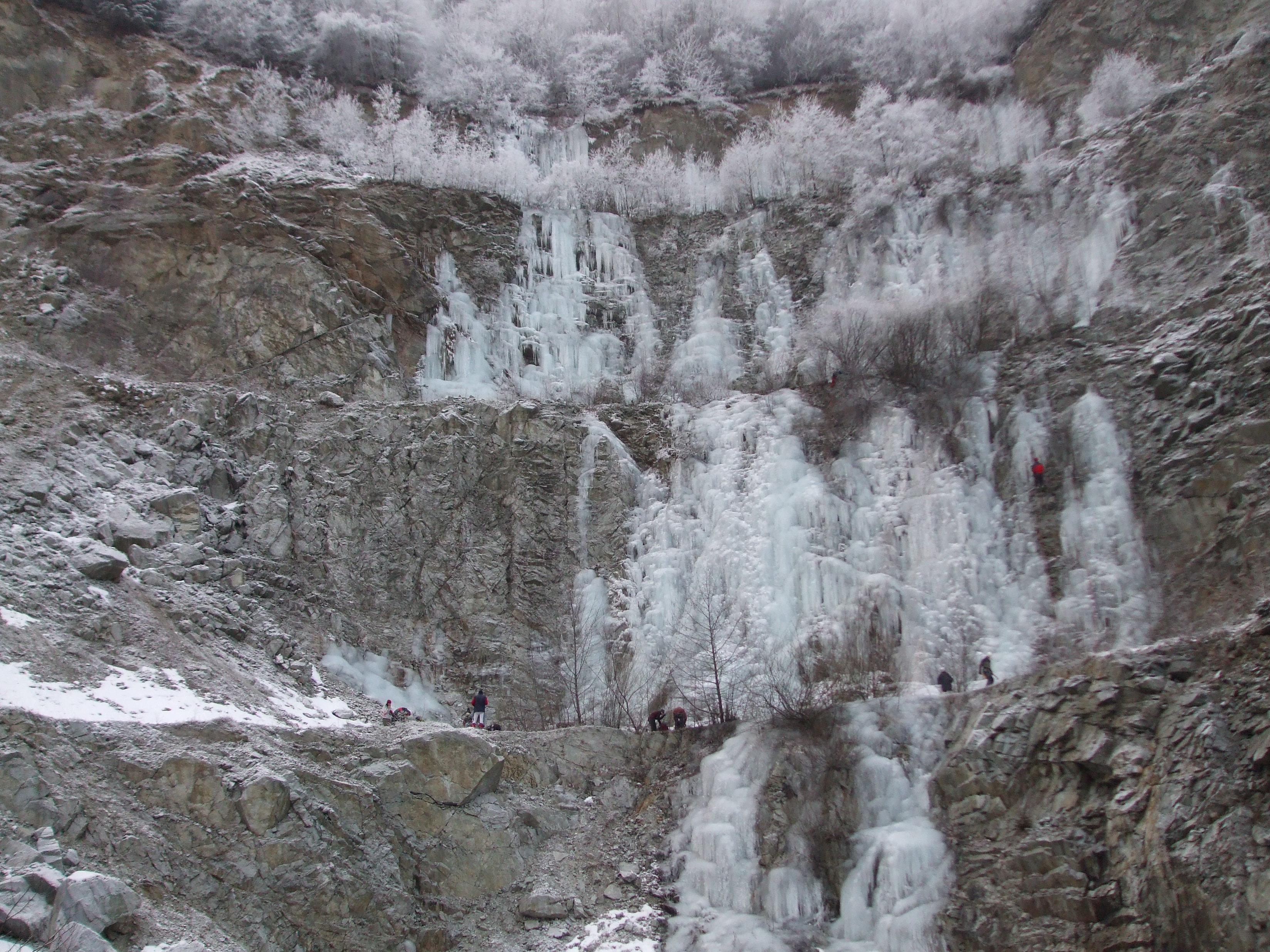DSCF0375.JPG