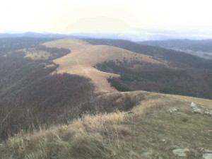 Obrázok